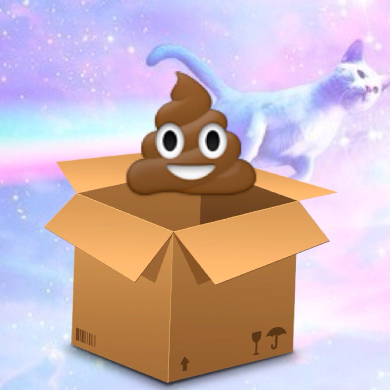 shitbox2000's profile picture. 