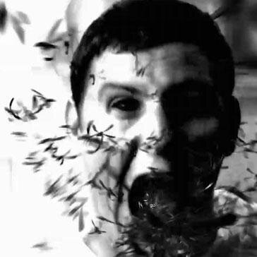 Boyka_Lecter's profile picture. triputo, caso psiquiatrico, estable