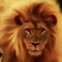 Patrick Wehner - @patrick_wehner - Twitter