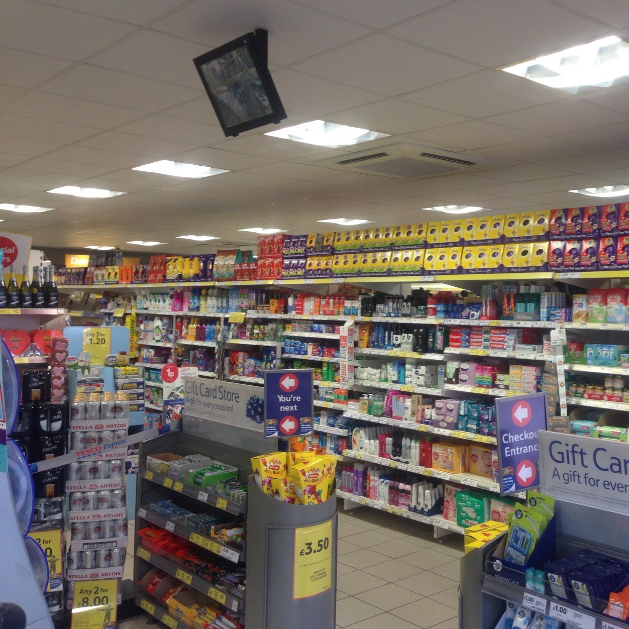 D22Stace's profile picture. 