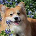 Diane Vickers - @DianeDeedee13 - Twitter