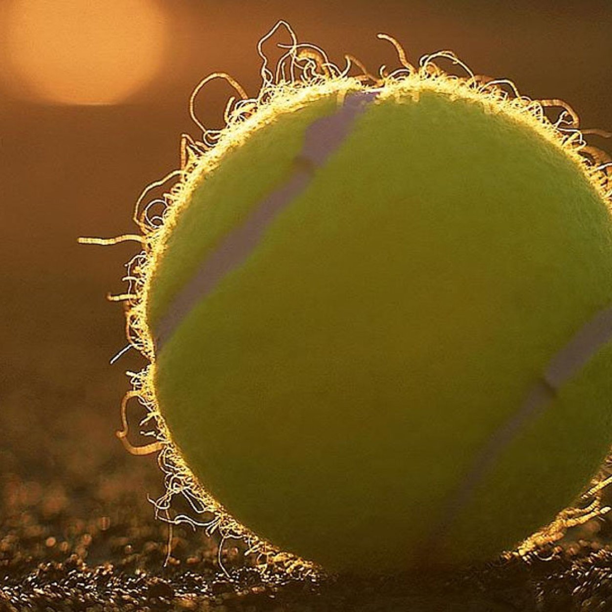A collection of annoying things tennis players always say. Funniest and most relatable tennis account on Twitter. Help me get to 10k!!!