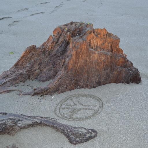 LRayPhotography's profile picture. 