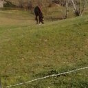 Allen Craft - @ace686911 - Twitter