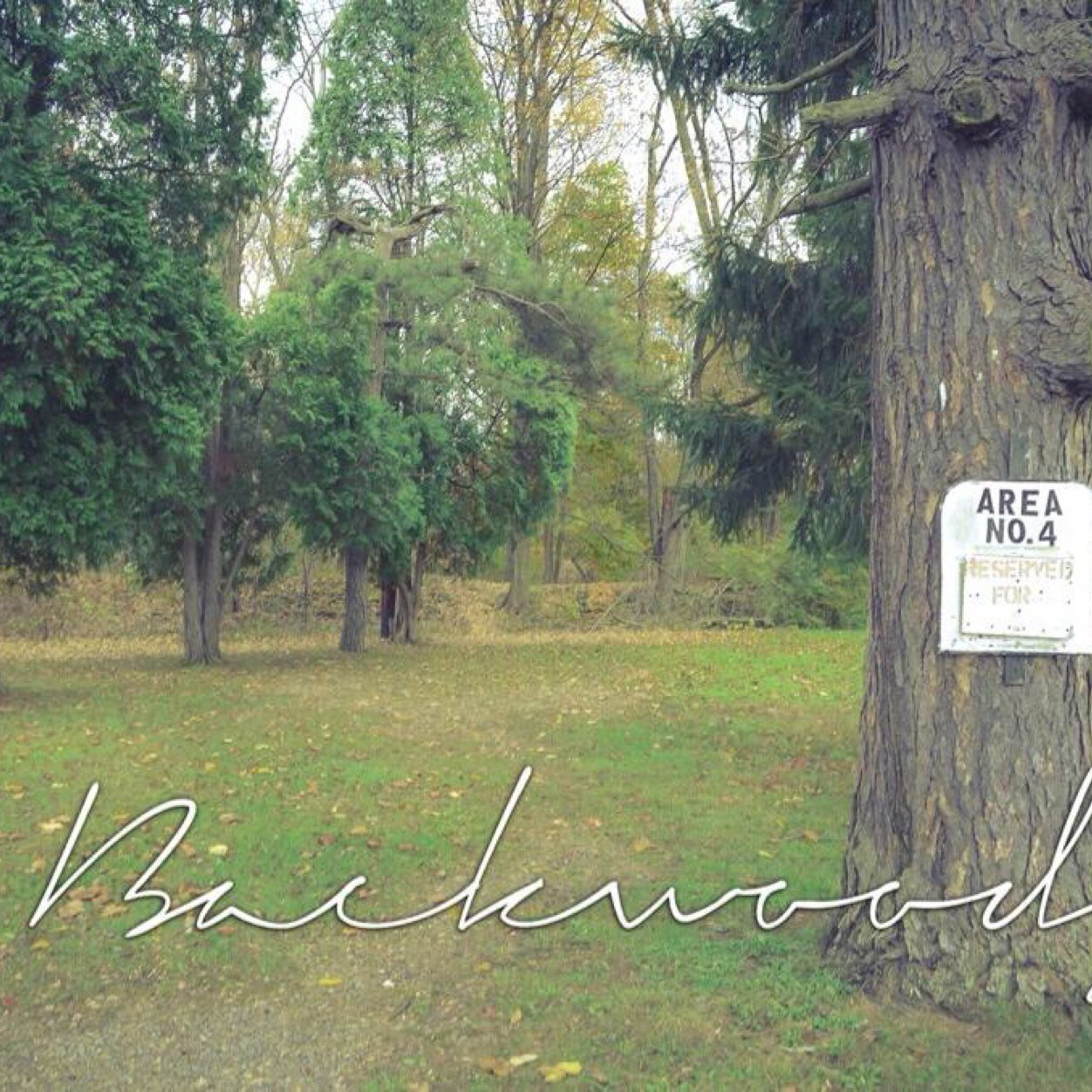 Backwoods.backwoods@gmail.com