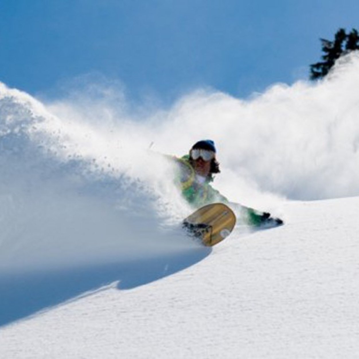 p0wderdays's profile picture. Boardin'