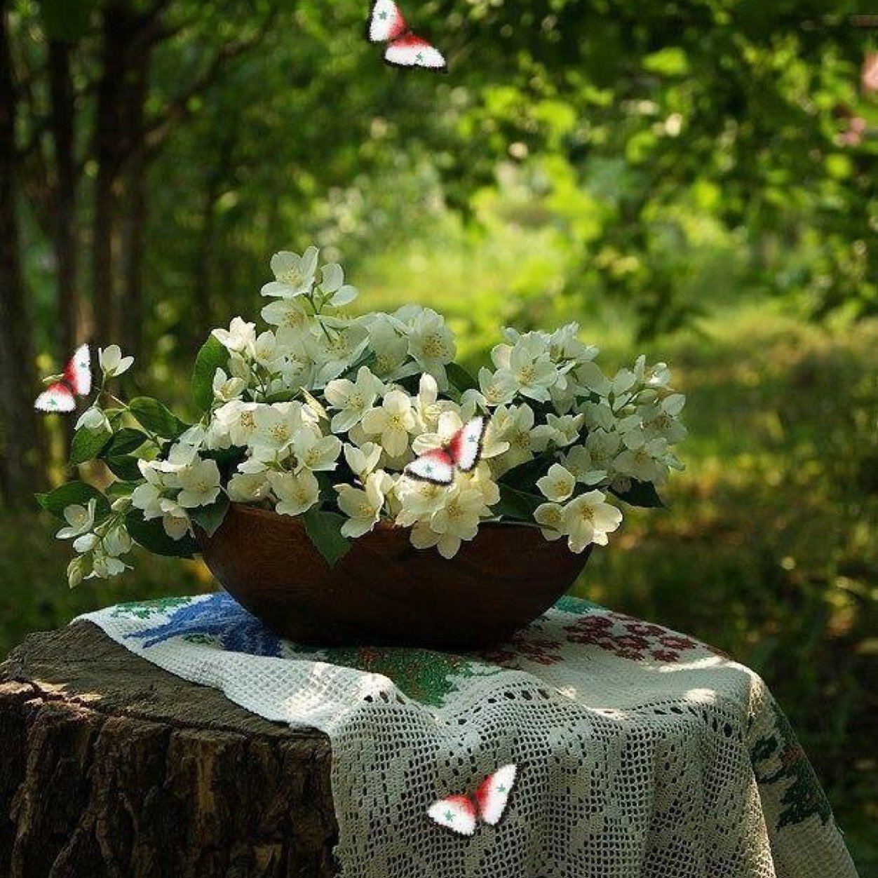 82_alosh's profile picture. 