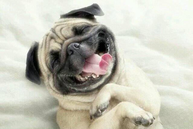 SIN LOCURA NO HAY FELICIDAD :)
Frases-Chistes-Citas-Reflexiones-Pensamientos-etc...
               →SEGUIME Y TE SIGO←