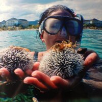 Michelle LaMarre (@rip_it_up) 's Twitter Profile Photo