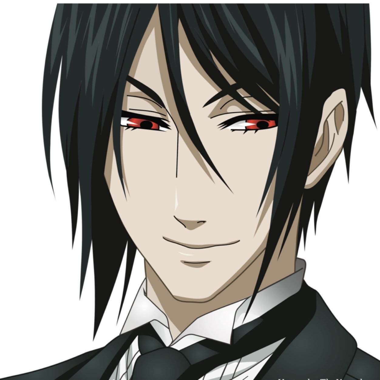 A butler of Phantomhive Manor, Sebastian Michaelis. A pleasure to meet you. Until his revenge is drawn out, I will remain faithfully at my young masters side.