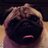 blaze45044339's profile image