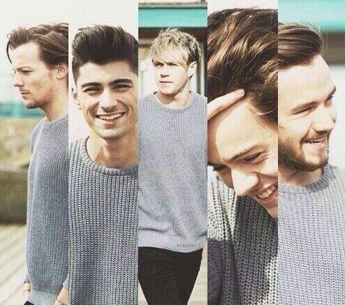 Can you please follow @niallftjmo and not this acc? :)