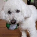 Alison Weinberg - @allyweinberg - Twitter