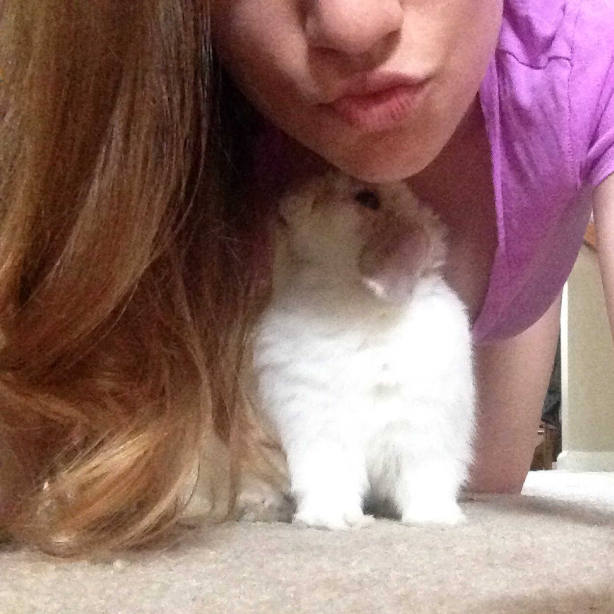 mybelle48's profile picture. 