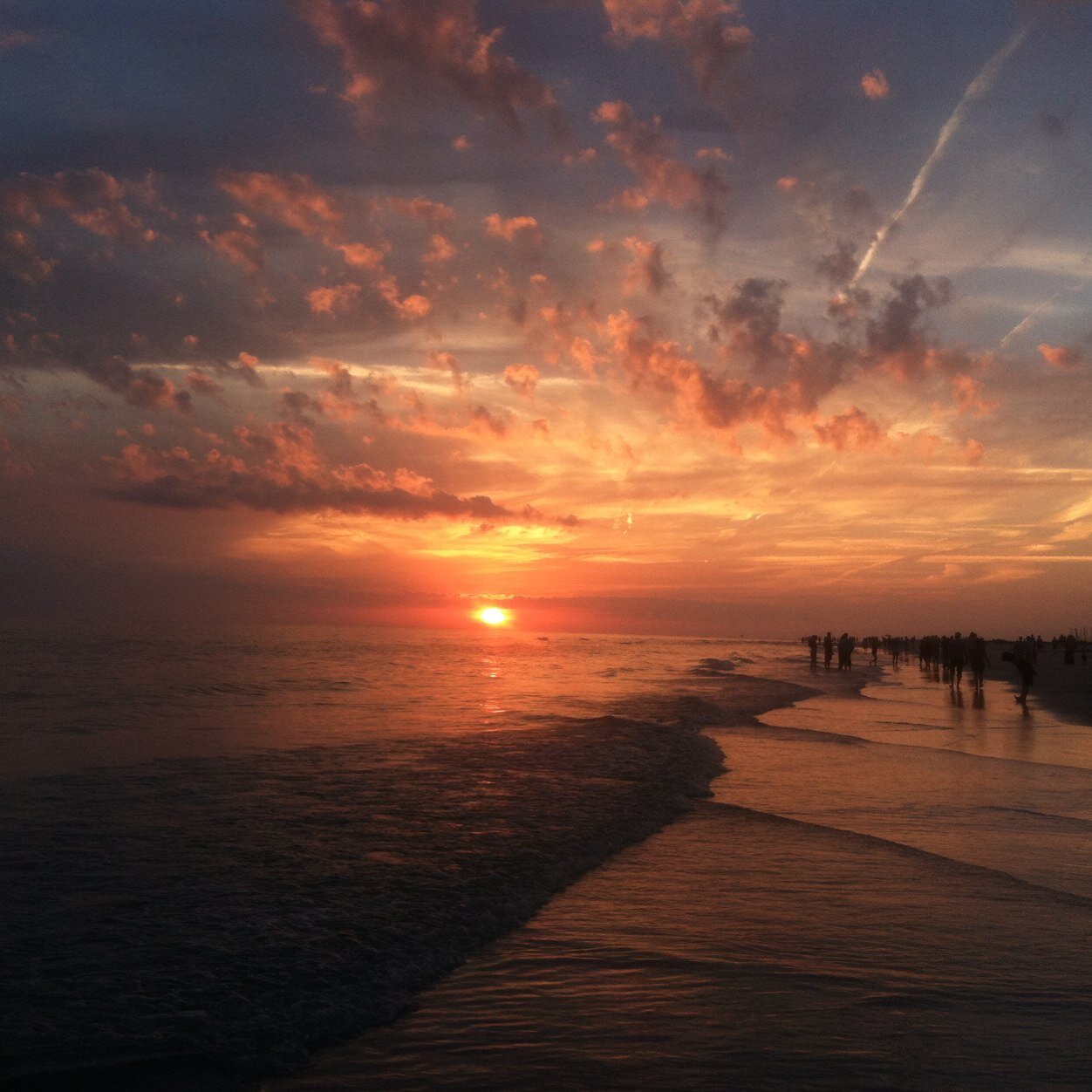 siestakey123's profile picture. Send us your confessions of things you did in Siesta Key in a direct message!