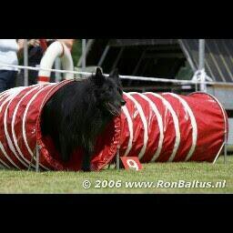 HansVenmans's profile picture. 