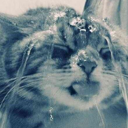 elg_focus's profile picture. MATI BMW MTB Tu