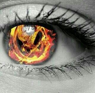 Esperando mi carta de Hogwarts para conocer a Harry. Conviviendo con Katniss⇹ y Peeta♨ para cazar con Gale. Enfrentándome a mis miedos con Tris y Tobias (6+4)