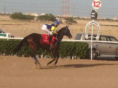 jagsharathore1's profile picture. Track Work Rider Seou