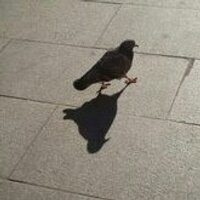 AntonioLopezSanRoman (@antoniolsr) Twitter profile photo