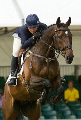 tjsjeventing's profile picture. Eventing & Motor Sport enthusiasts. Owners of event horses based with Gemma Tattersall.