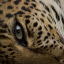 Любовь К - @laura_see1 - Twitter