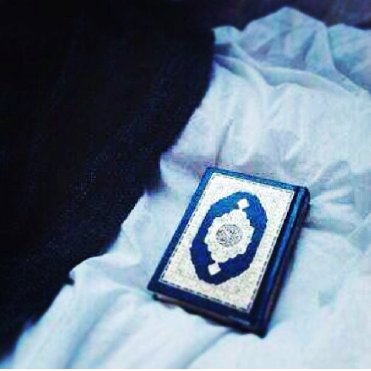 اللهم أرحم گل من ضمهـ التراب