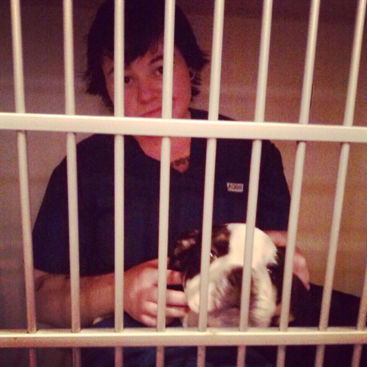4/24/14 Vet tech Scorpio TMF