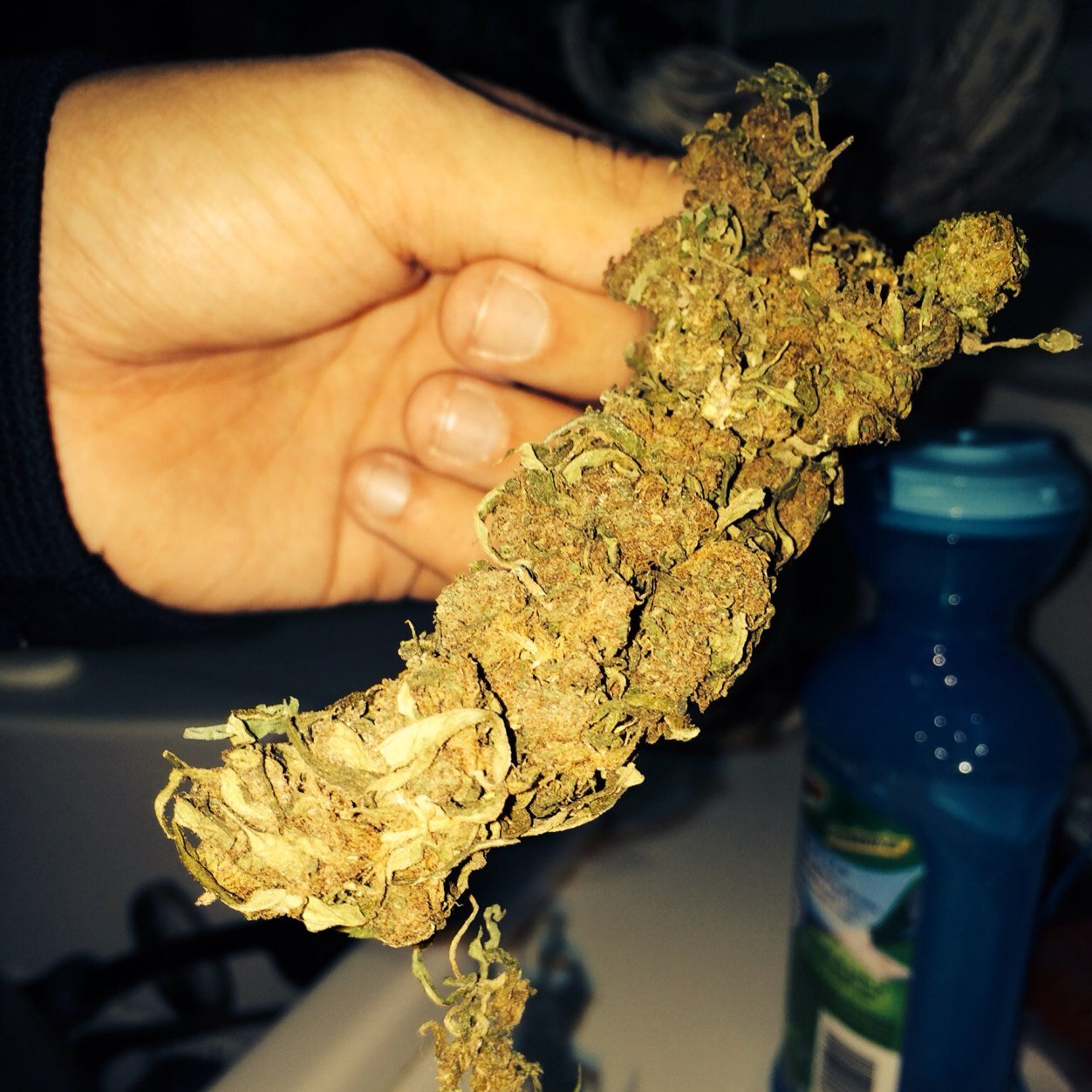 BrothersDoobie's profile picture. Are you a brother?