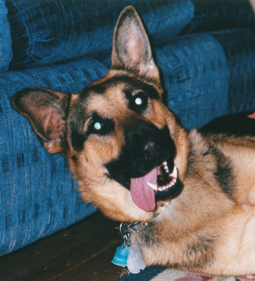 marcinville's profile picture. 