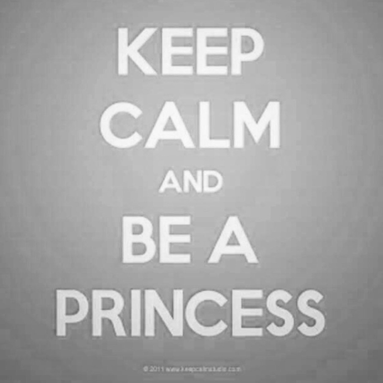 MissBearSusi's profile picture. I follow back :)