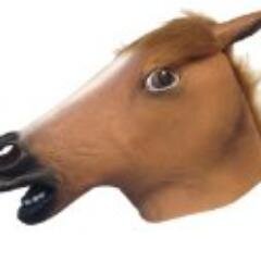 horse_madison's profile picture. 