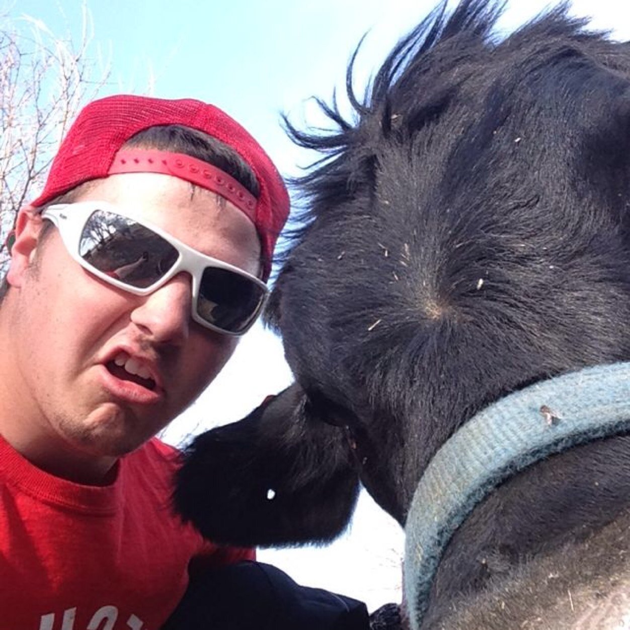 DM me your best selfies with animals and i'll post them for the whole twittersphere to see