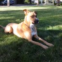 anthony privitera - @anthonypriviter - Twitter