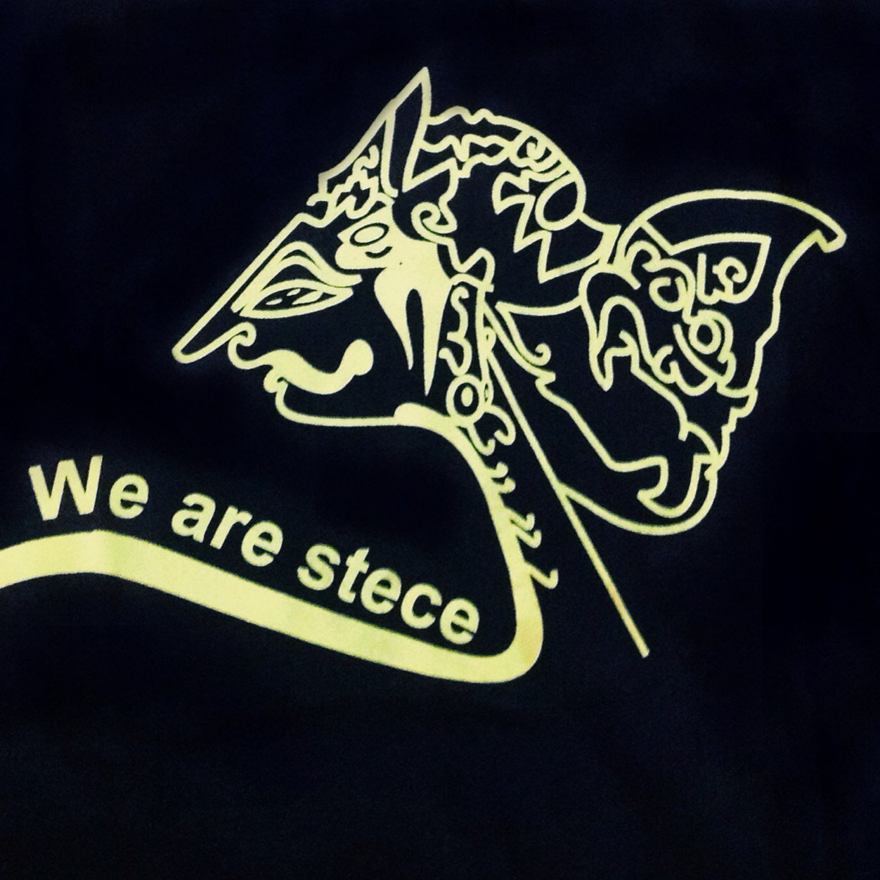 SRIKANDI STECE, ACT like a WOMAN, THINK like a BOSS! 
email : WeAreSTECE@yahoo.com
instagram: wearestece
