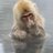 buddajg22's profile image