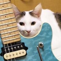 小尾元政 (@yukimasa_obi) 's Twitter Profile