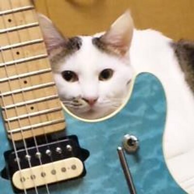 小尾元政 Yukimasa Obi Twitter 小尾元政 Yukimasa Obi Twitter