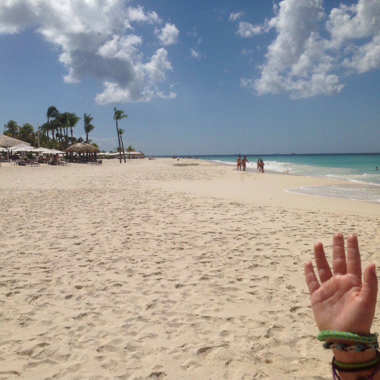 DenizCarroll's profile picture. Mother to princesses, preschool teacher, runner, avid fitness freak