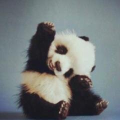 _pandicornrp's profile picture. Panacea — close agency — join us now. many slot available.                     admin @pcsoojung @pcmarktuan @pcsubin