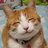 DirtDiggler26's profile image