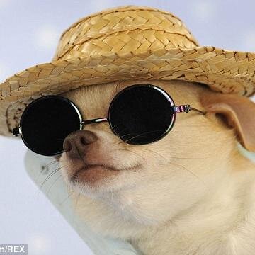 YCUREAMAZlNG's profile picture. @wtvhem