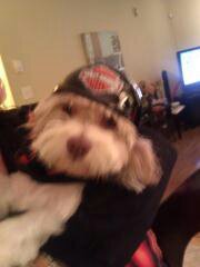 Frosty081031's profile picture. 