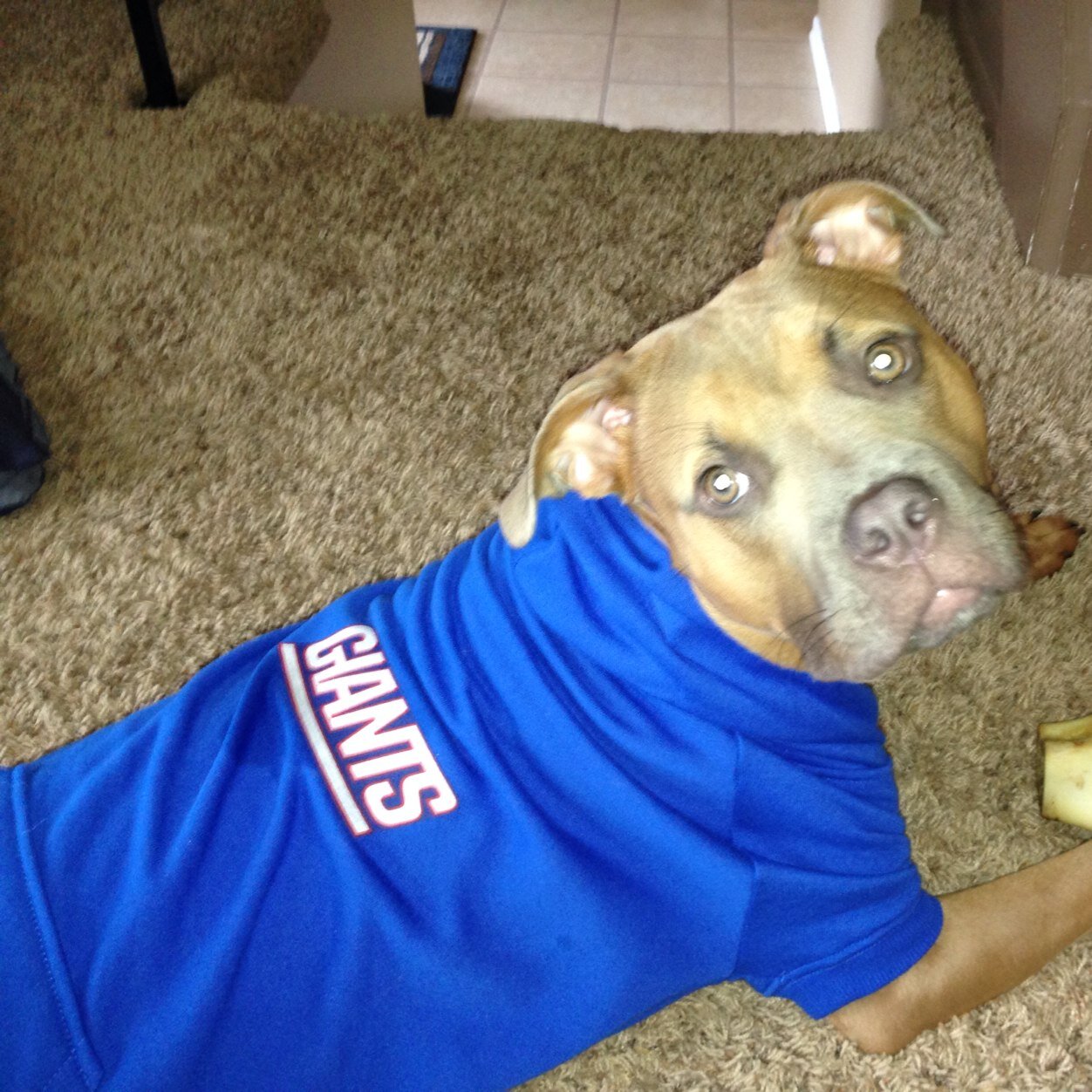 CNG1010's profile picture. 