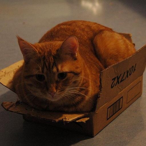 CatboxGaming's profile picture. Noob PC Gamer. Twitch: http://t.co/Z01yb8g3mN