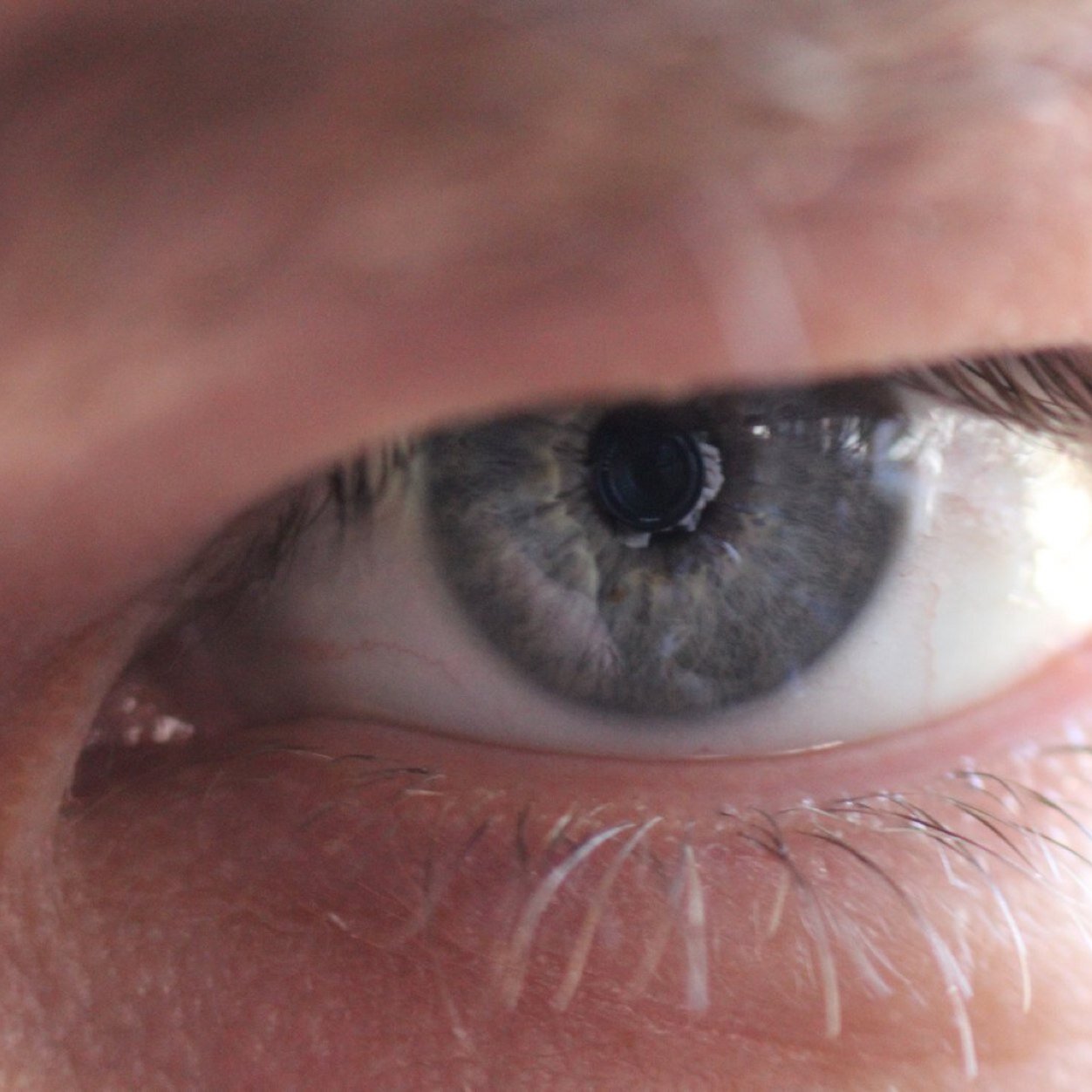 WikkidPerson's profile picture. Creator of The Wikkid Podcast. Genuinely frightened by the blind, thuggish tyranny of "positivity."