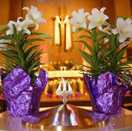 Pastor_Richert's profile picture. Associate Pastor at St. John Lutheran Church and School, Fraser, MI