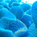 Matt Alexander - @nick_to_swaggy - Twitter