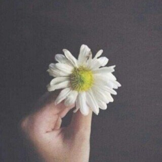 استغفر الله واتوب اليه 
     الخآص مهمل ..