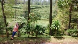 meiliavika's profile picture. Dream, Pray and Action :*